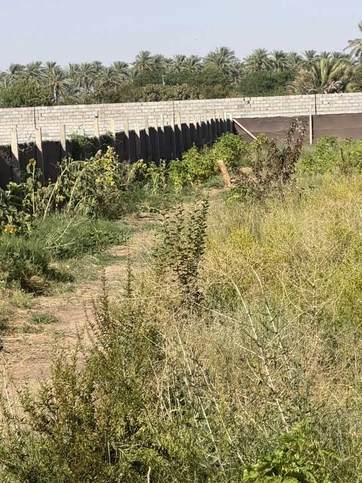 على بركة الله
دونم للبيع سند ٢٥ بأسمي 
الموقع مدخل واحد تدخل عليه من يم موقع المرور الجديد يم بستان الكوام واصل مي حلو وكهرباء 
***********
