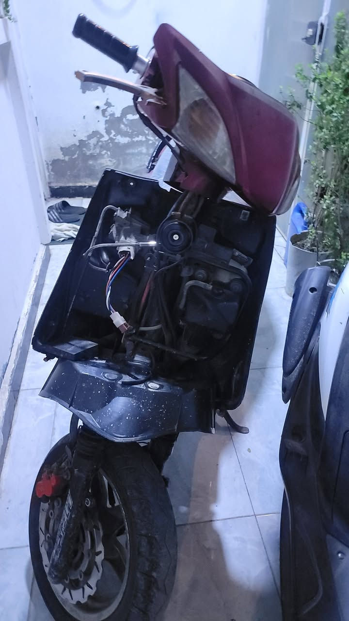للبيع
السلام عليكم سكنس فحل نوزل خطين ام طلاعه للبيع دراجه خير من الله مكينه مكفوله نكره بكل وقت ودبلات رياضي صدر يخبل يدات رياضي وكلجات رياضي Dy شلعه ومعدل تاكل الكاع بيهه بلادي بلادي دراجه للستفسار خاص لو واتساب فقط***********
