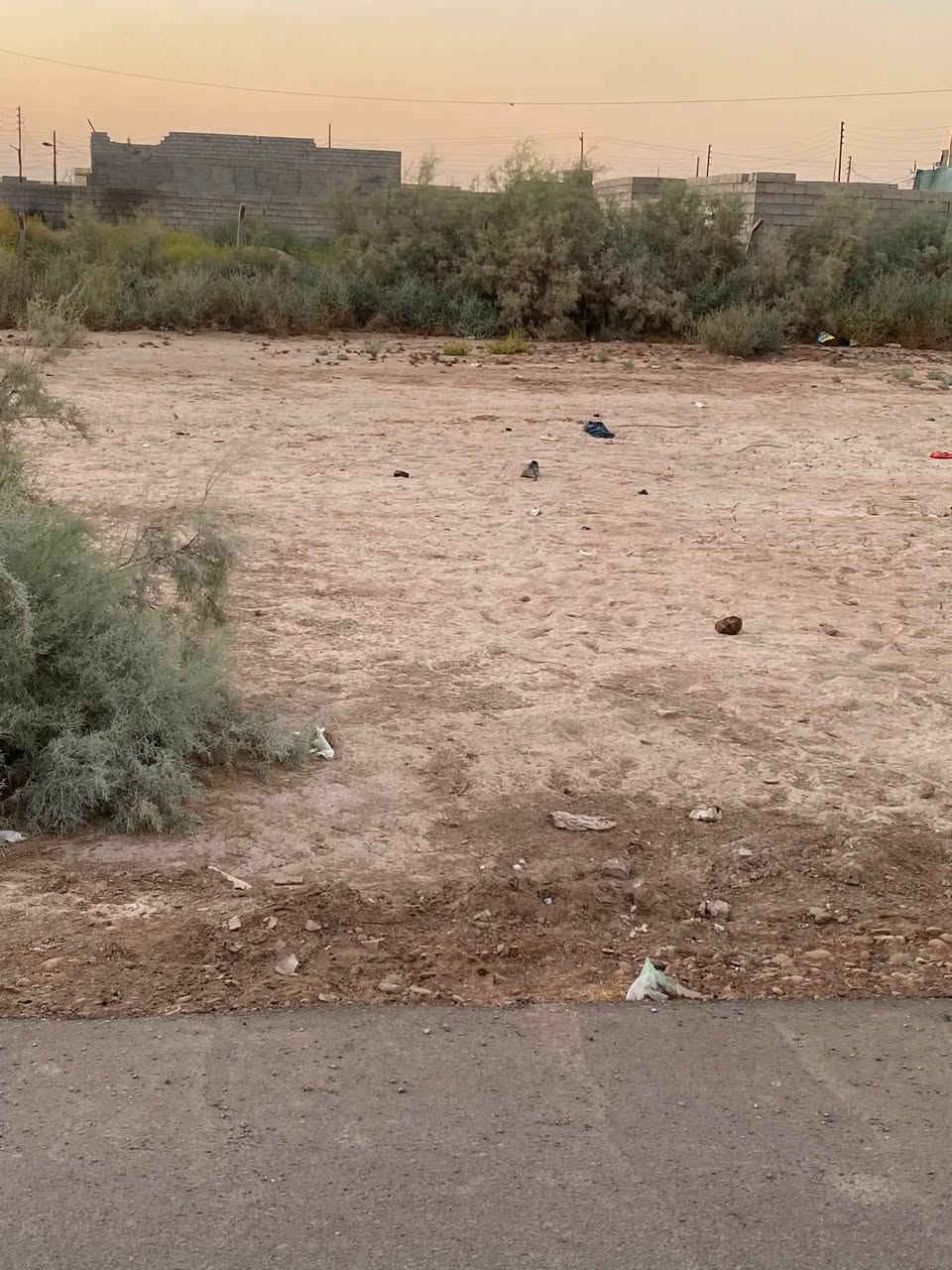 قطع اراضي للبيع 

المساحات المتوفره   ١٠٠ متر + ١٢٥ متر + ١٥٠ متر +٢٠٠ متر + ٢٥٠ متر + ٣٠٠ متر + ٤٠٠ متر 

العنوان  📍📍بغداد قضاء المدائن منطقه التصنيع تحديداً بالشهداء حي علي فاضل قرب جامع قباء 

جنس الارض زراعي ✅ 

الخدمات المتوفره   ماء + كهرباء + تبليط 

***********

للاستفسار اكثر خاص او الاتصال على الرقم
