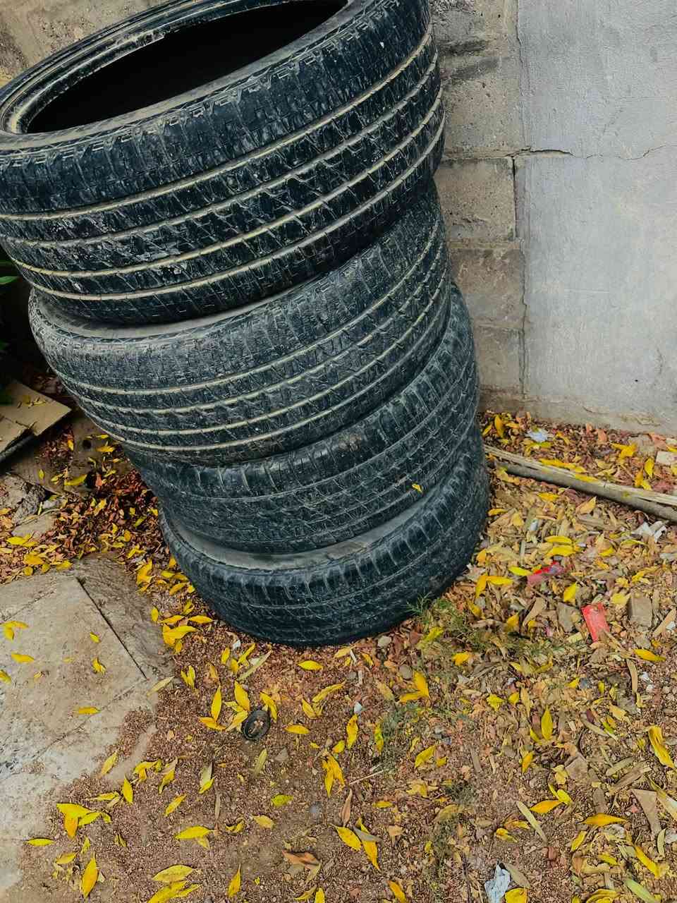 تيرات ٢٢ • تاهو • عدد ٤
