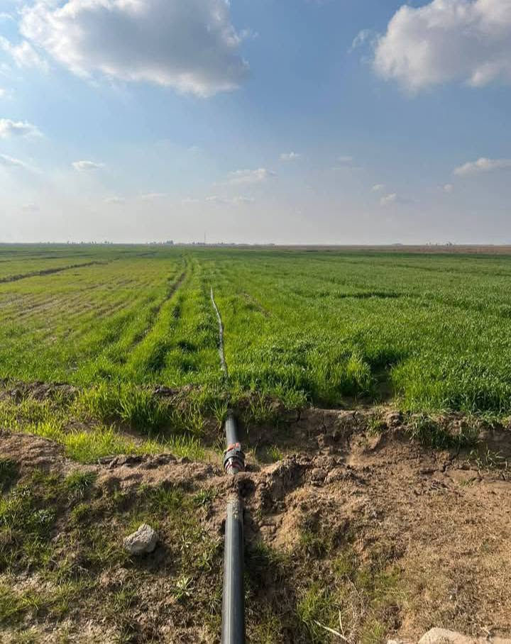 عرض اليوم 30دونم منطقة الشيخ عامر 💎 
التاجي ذراع دجله 💎 
ماء 💧 
كهرباء ⚡ 
سند 25طابو فلوجة فتح بيان ثاني يوم 📝 كامل معامله 
تبعد عن بغداد 20دقيقه 🕝 
واجهه الدونم الواحد 40 /ونزال 60 
مركز صحي 🏥
المدرسة 🏫 
🔶تكدر تسويها شاليهات استثماريه قابله الصعود الاراضي فرصه ذهبيه الك 💎
🔹 سعر الدونم الواحد 25وبيه مجال 💸 قابل للتفاوض 🔹 صاير بنص الشيخ عامر 💎 
تبيع تقطيع من 1 الئ 5دونم 📐
 الاستفسار اتصال ***********واتساب 
استاذ مهيمن احمد الاستثمار العقاري 💎
