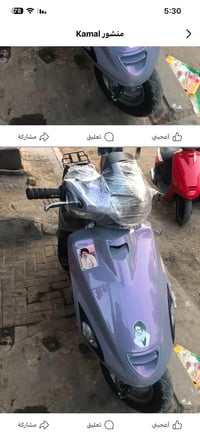 فراشة • اوراق • تفحص