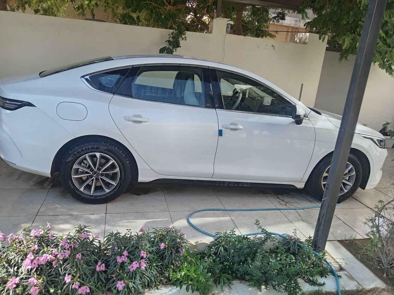 بي واي دي ٢٥ ماشيه ٨ الاف ونص رقم بغداد مالكها بغداد حي البنوك السياره كفاله عدا رصعات مال شارع السعر ٢٠٥٠٠ اتصال *********** واتساب موجود

