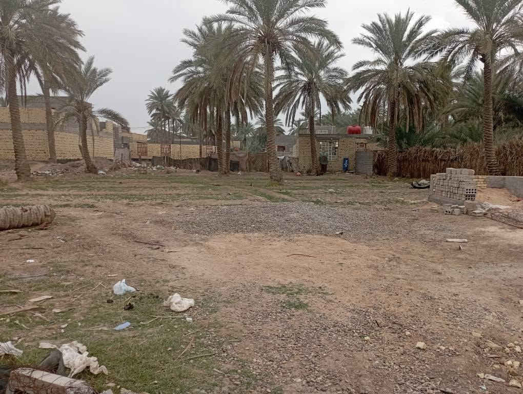 سلام عليكم يتوفر قطع ارض مساحتها 878منر جنس الأرض ملك صرف زراعي حق التصرف سعر 85مليون يتوفر قطع ارض واجهه شارع مساحة 1600متر  طابو زراعي سند 25 سعر 80مليون موقع أثار بابل حي المرتضى شار الصيدلي يتوفر 2دونم واجهه شط واجهه جدول قرب سيطرت الاثار منطقة السوره الي يحب اكو عروض متوفره رقم الهاتف وتساب *********** حلة, بابل
