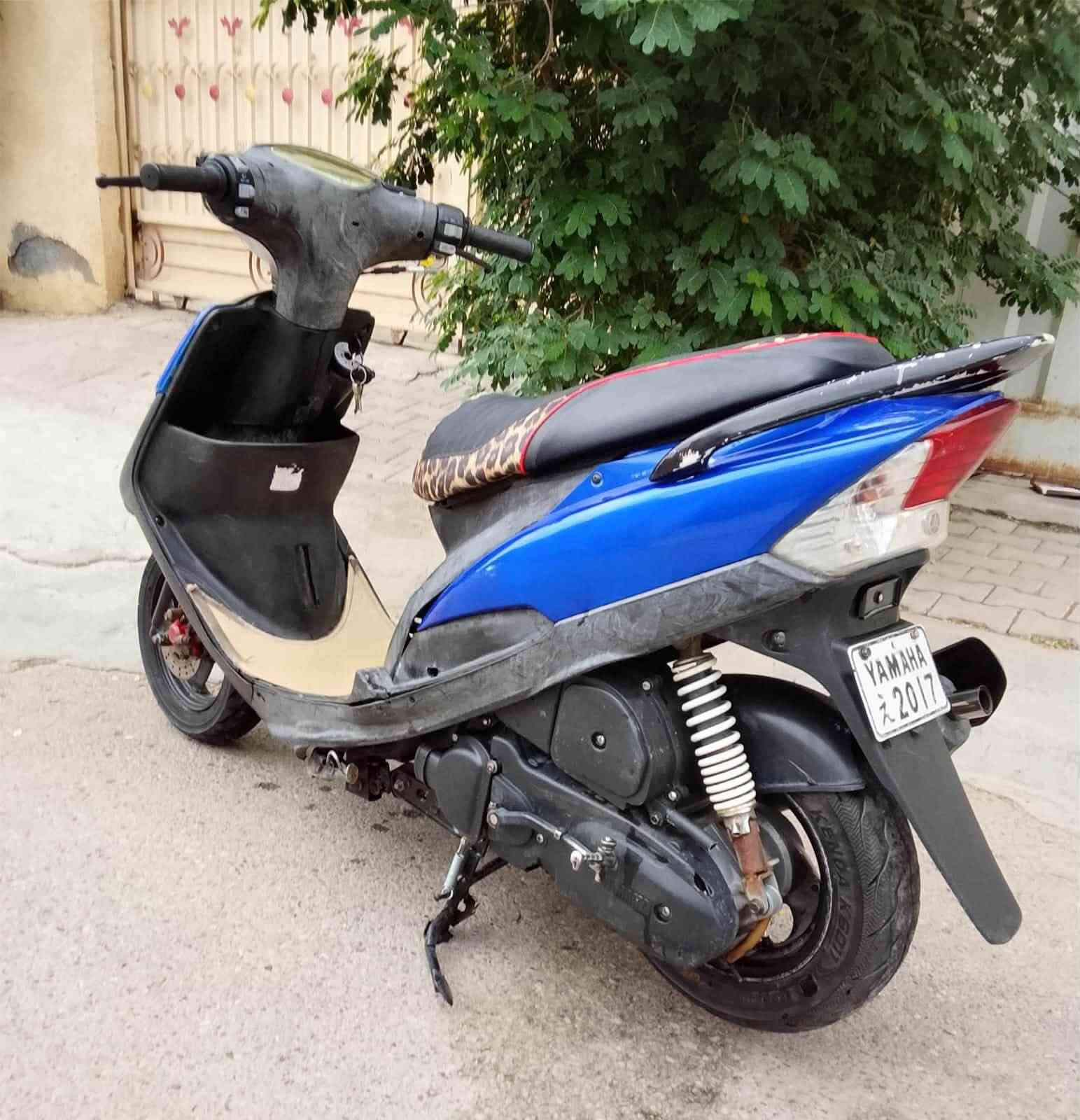 ماكس • عدلة • بلادية