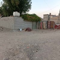 بيت مساحه 130 في حي طارق شيشان شارع المدارس   قرب.مولدة علاوي الجعباوي...