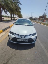 كورلا • ٢٠٢٤ • رقم اربيل