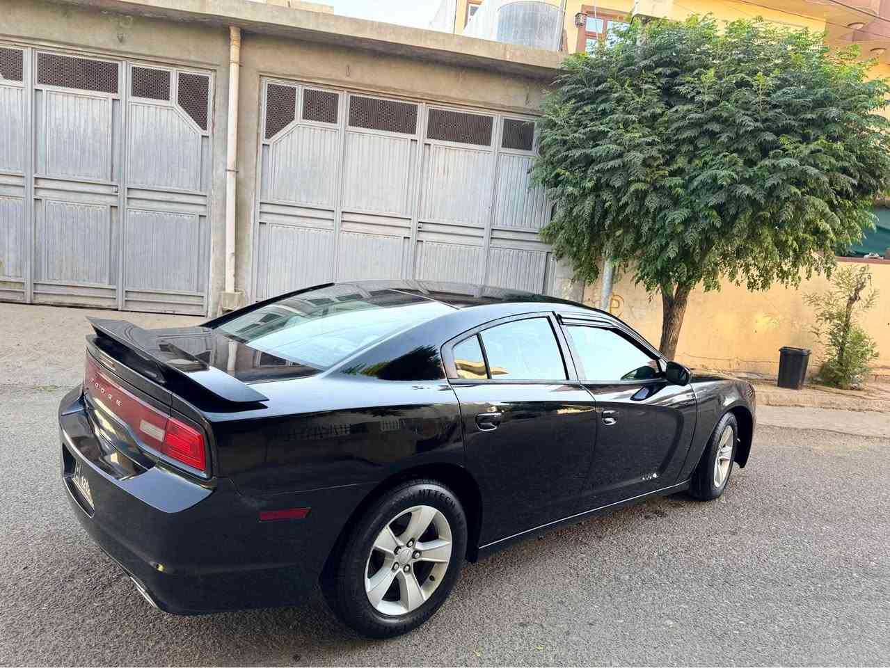 دۆج چارجەر ٢٠١٤ بڕاوە کۆدی هەیە ٥٣ گەڵا 

٦ پستۆن 

کۆدی هەیە 

گێڕ و مەکینە و کارەبای بەشەرت 

بێ چاڵ ✅
بێ شوخت ✅

تاقم پێش و دوای تازە داگیراوە چرکەی تیا نیە 🔱

٤ تایەو ویلی لۆکی لەسەرە 🛞

کوشن جلد✅
هیتەر✅
کوشن کارەبا✅

تەحەکوماتی سەر سوکان ✅

سعری خوار هەموو بازاڕ ٥٣ گەڵا 

***********
***********

ئەدمینی دڵ ❤️
