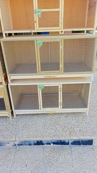 حاضنة • قفص كبير • سيم مانع ذباب