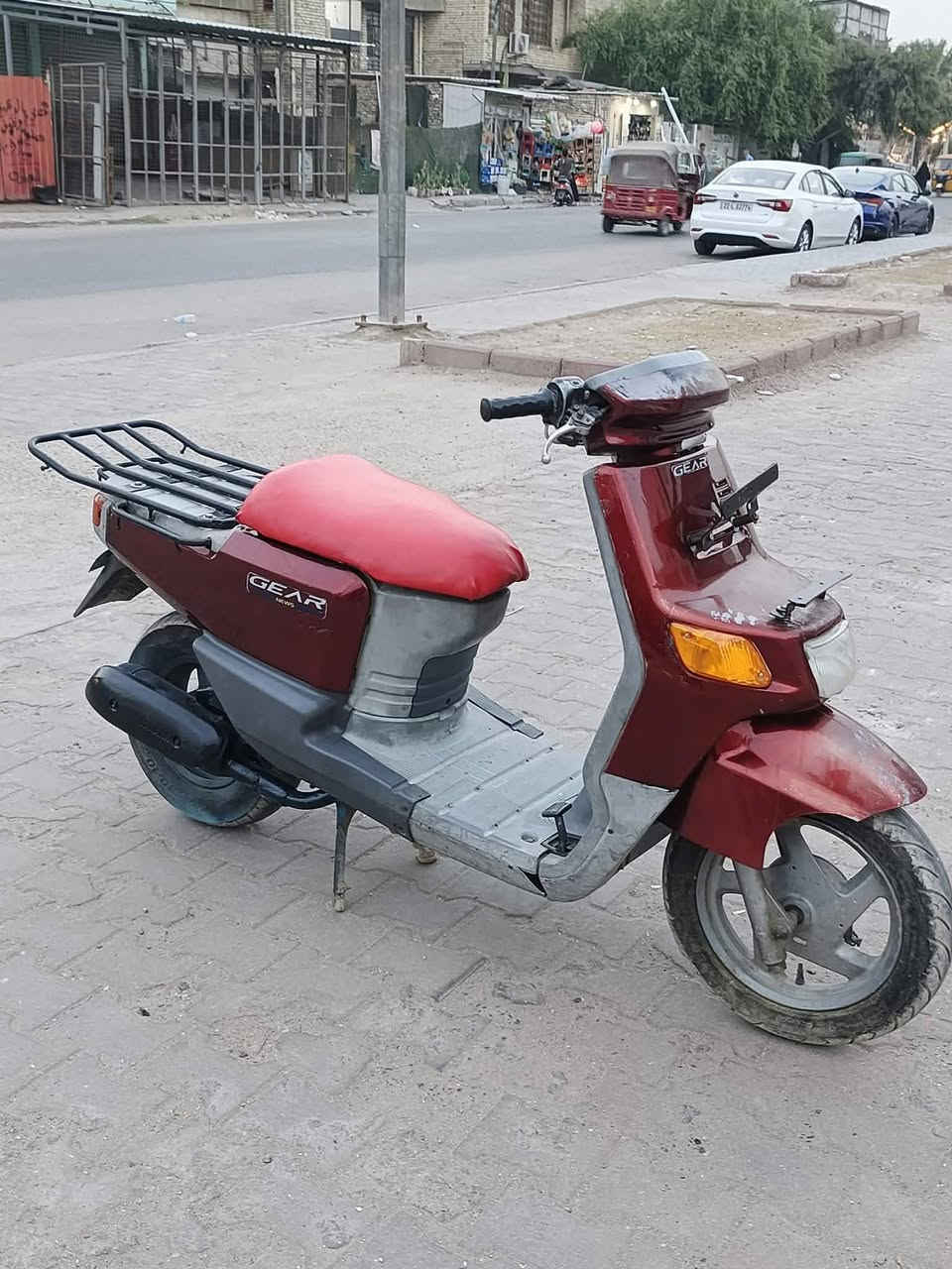 بيكم • فحل • اوراق