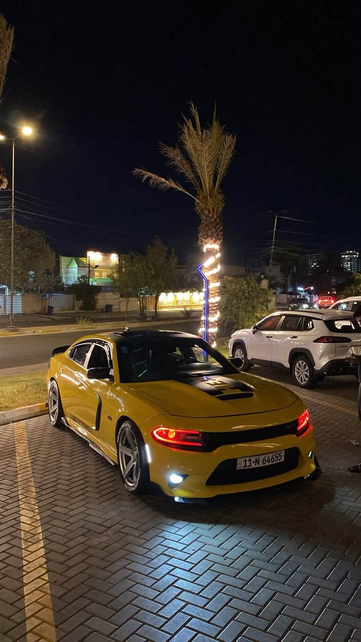 السلام عليكم تشارجر دايتونا لون ليموني 

8 سلندر R/T 5700 دايتونا اصل 

رقم بغداد الجديد تحويل مباشر

مواصفات

شاشة كبيرة 

حساسات خلفية 

كامرة خلفية

كشتات ذاكرة

كشنات هيتر

كشنات تبريد 

كشنات كنتارة وجلد

كشنات كهرباء 

قطعتين تبريد

شفتات استيرن 

وضعيات قيادة 

طاقات بلاد
 
كزوز كورس 

وباقي مواصفات معروفه الدايتونا

السياره بيها صبغ احزام  

للأستفسار ***********
