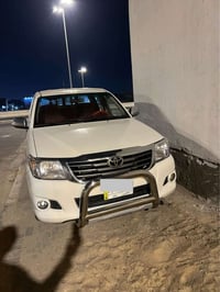 فلاونزه • ٢٠١٥ • البصرة