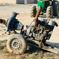 نحالة دويز • ٣بستم • ٨ب٦