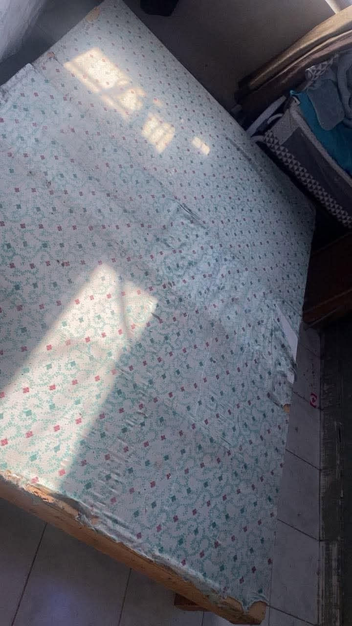 صومية • نظيفة • بغداد