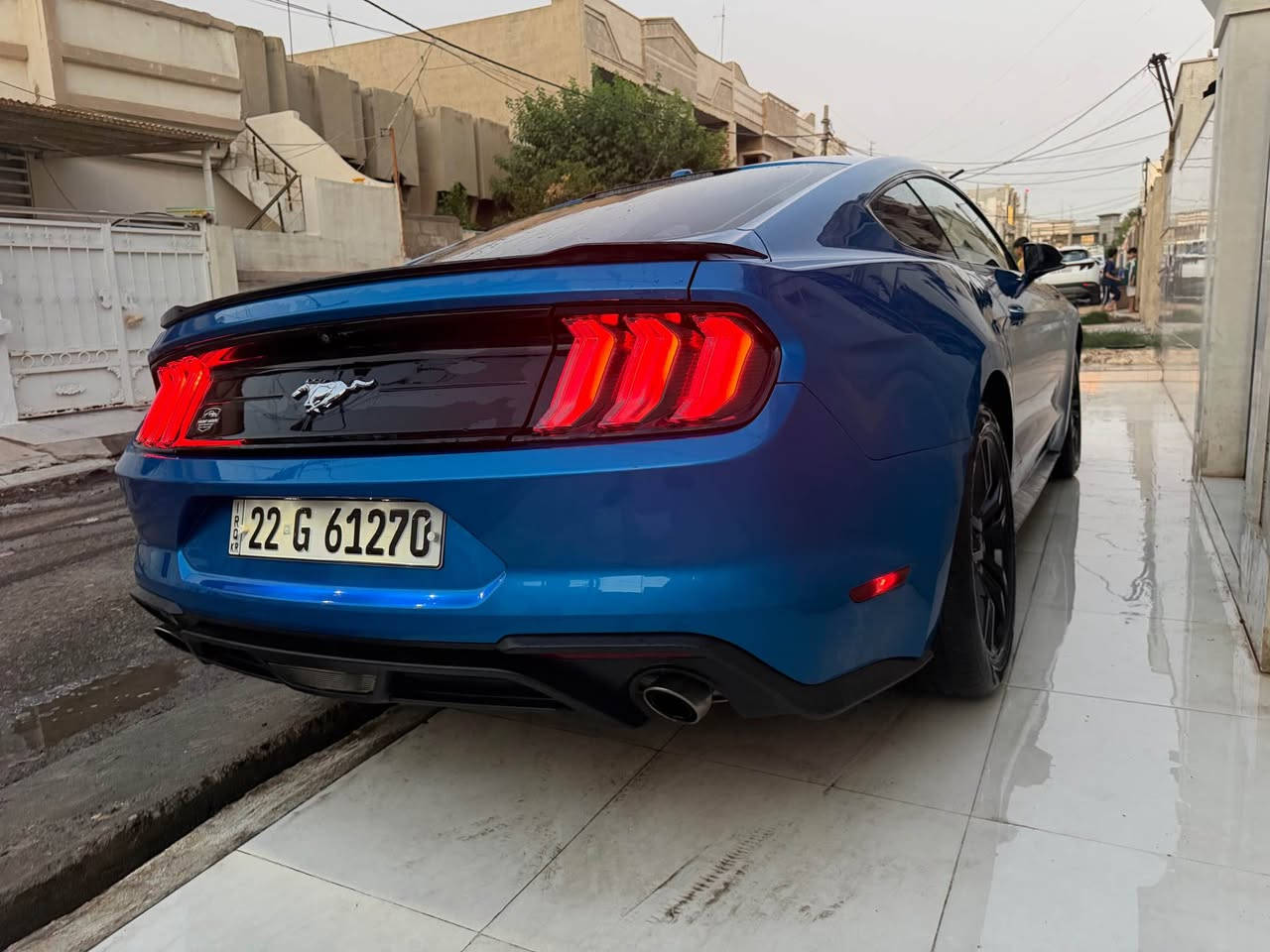 موستانج اكوبوست • ٢٠١٩ • نيلي