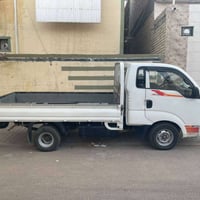٢٠١٦ • حمل • باب مصبوغ