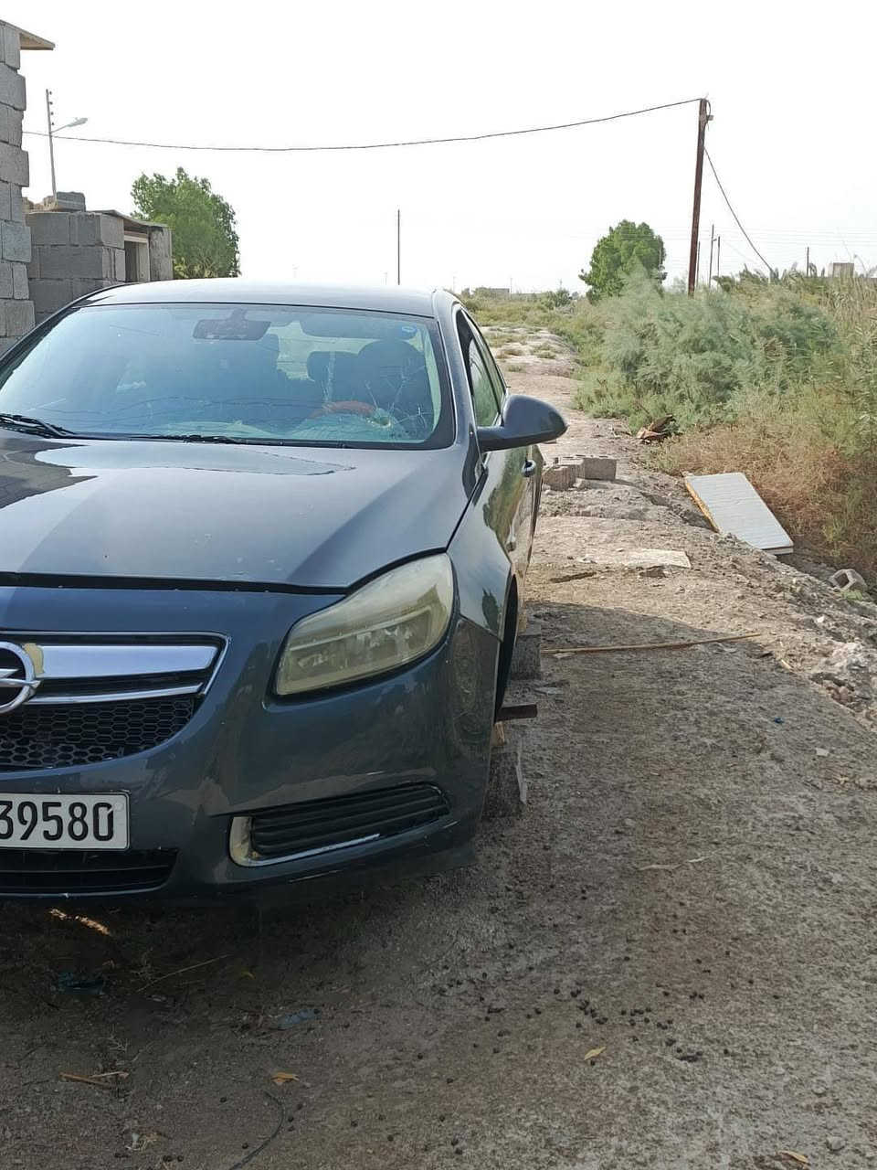 انسجينا • ٢٠٠٩ • رقم اربيل