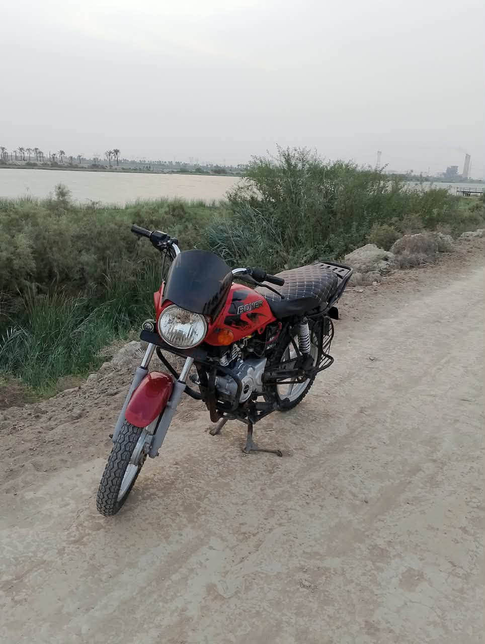 بوكسر • حمرا • اوراق اصولية