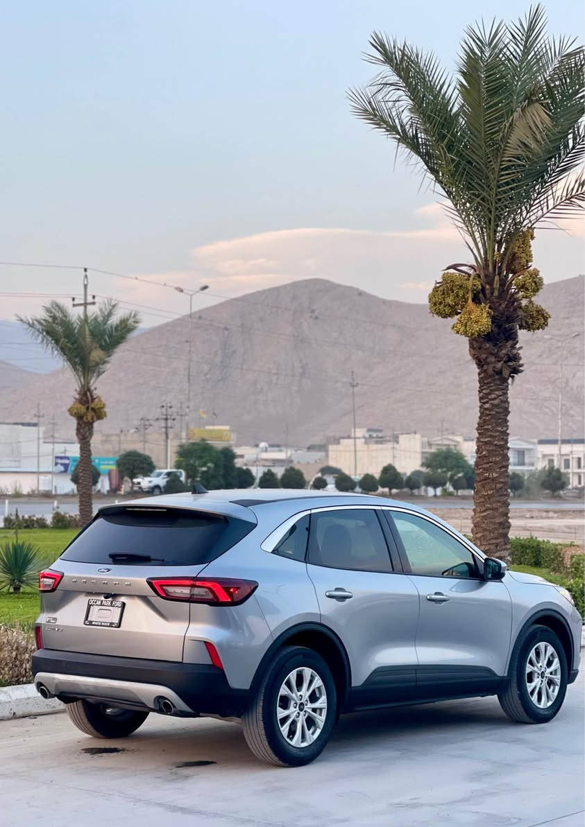 فورد اسكيب • ٢٠٢٤ • سالفج