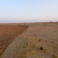 العيث الزلزليه • ٢٥٠ دونم • كهرباء واصلة