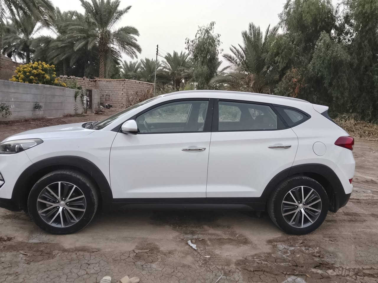 توسان • ٢٠١٧ • مكفولة