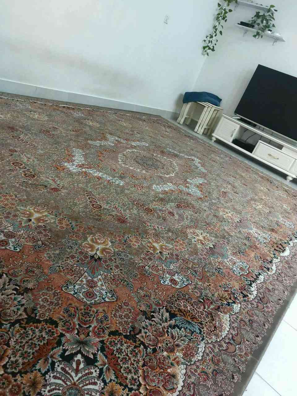 بو فروشتن به نرخى گونجاو
قه نه فه كان
فه رشه كان 
كانتوره كه 
شوين سليمانى 
بو نرخ ته له فوون بكه ن هه مووى پاكو بێ عه يبه

***********
