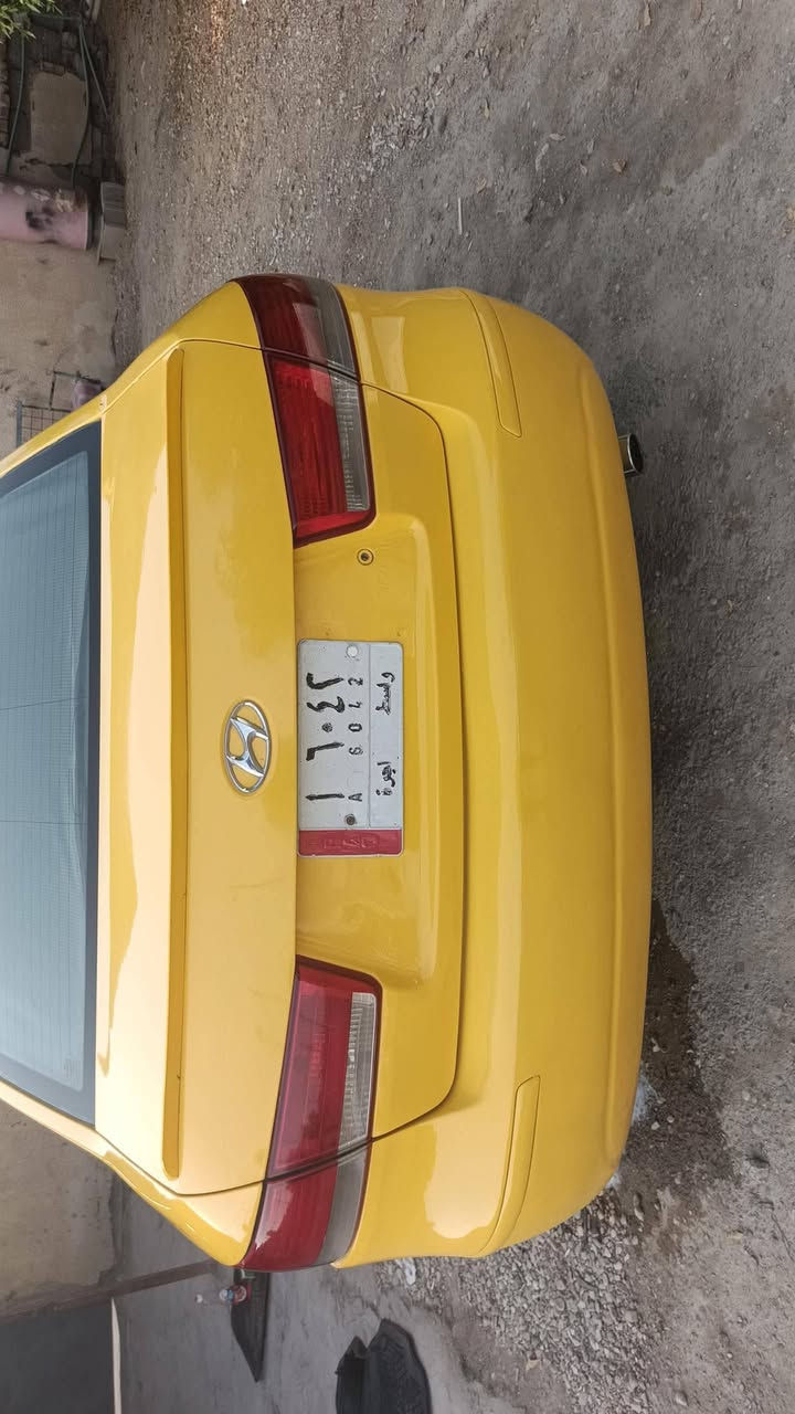 سوناتا • ٢٠١٠ • مكفولات