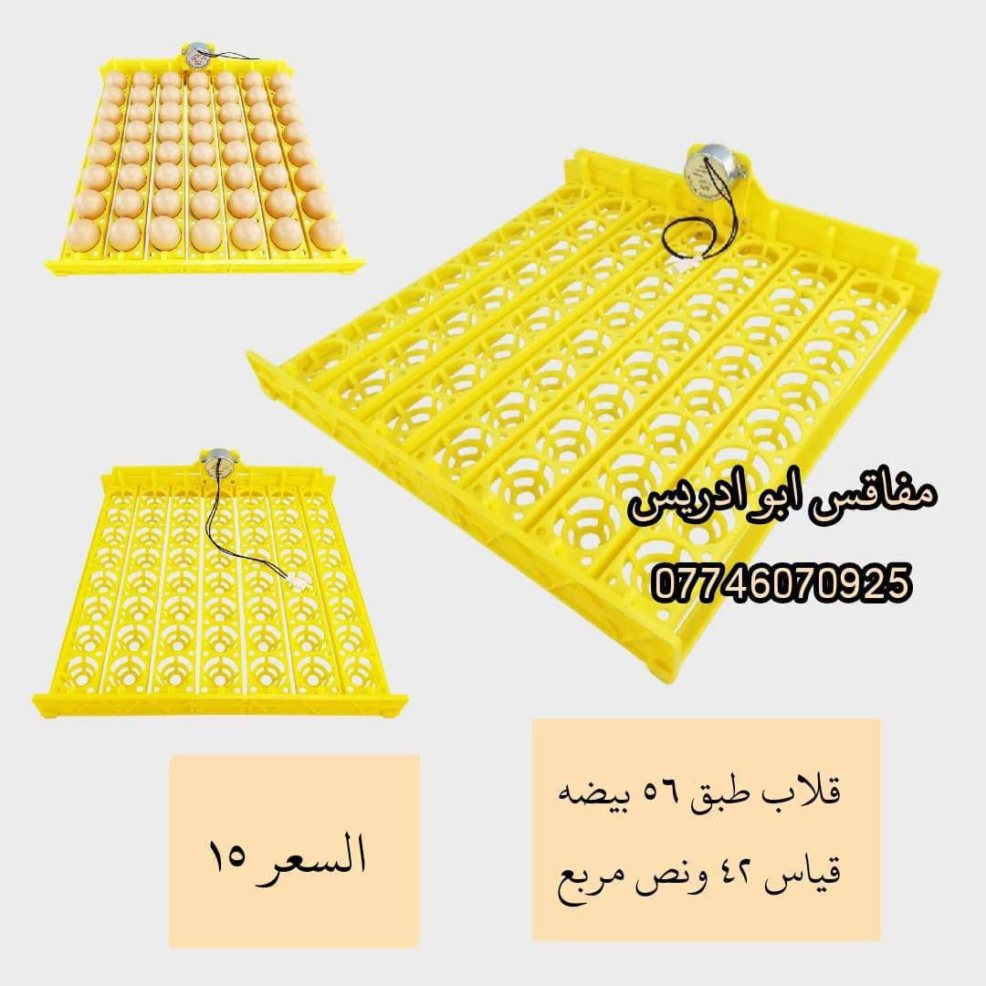 فقاس • ٦٠ بيضة • ٧٢ بيضة