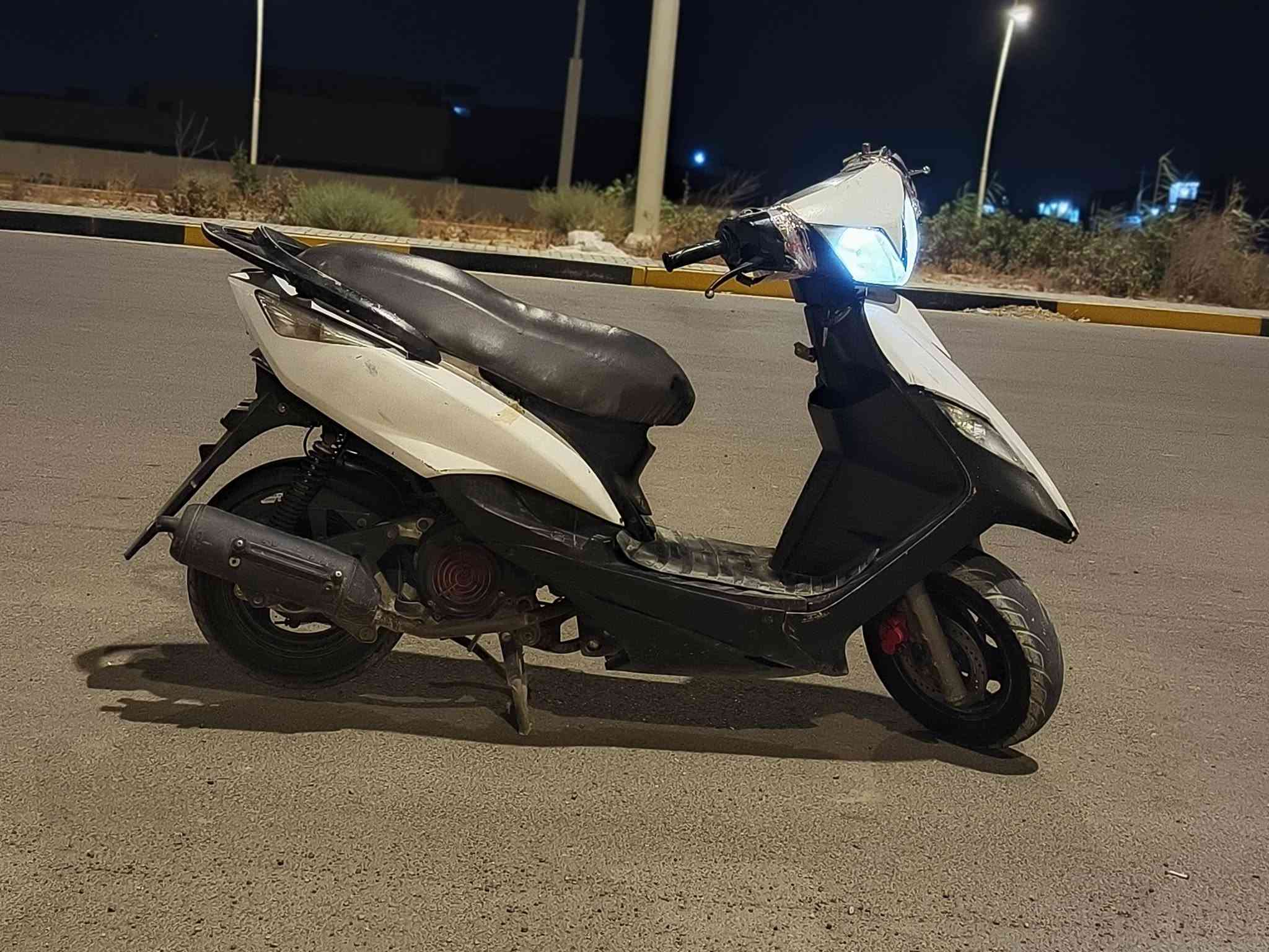ثعلب • سكنس • سامراء