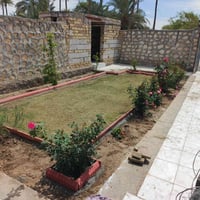 هندسة حدائق • زراعة ثيل ونخيل • قص أشجار