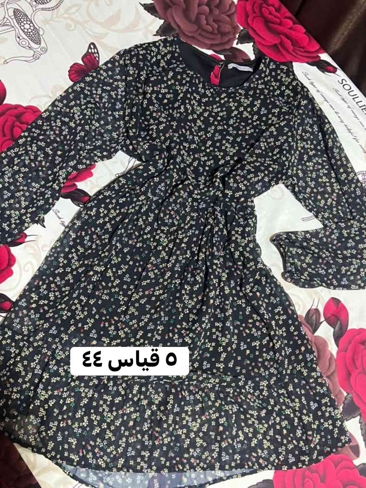 قياس ٤٤ • قياس ٤٢ • نظاف