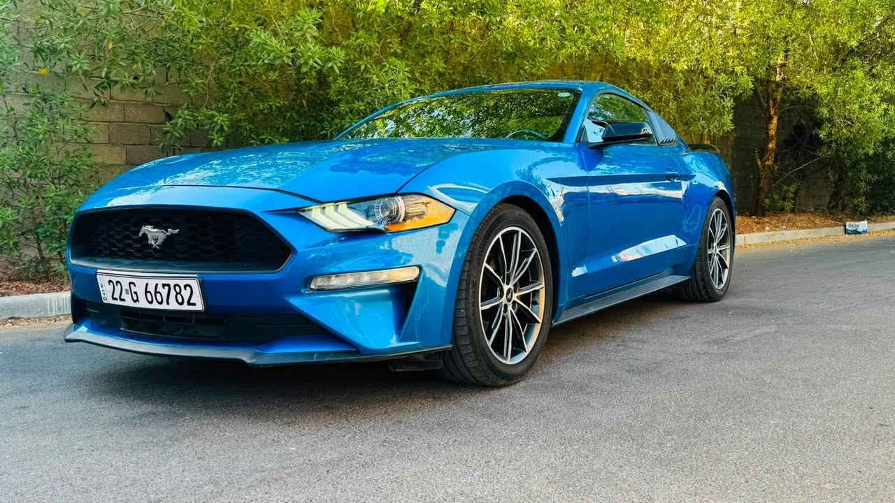 سلام عليكم 
موستنك ايكو بوست موديل 2019
بجم كبس حادثها جاملغ خلفي وباب بدون دواخل بدون ايرباك 
صور الحادث مرفقه 
مواصفات الايكو المعروف 
عليها ادامه كامله 
صدر امامي خلفي جديد
تخم تاير 
رقم وهزه وسنويه جديده بسمي ثانيوم تحويل
السعر 133$ بيها مجال بسيط 
مكان السياره بغداد الغزاليه شارع مدير الامن 
*********** بغداد, العراق
