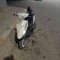 ماكس عدله • مراوس • الضلوعيه