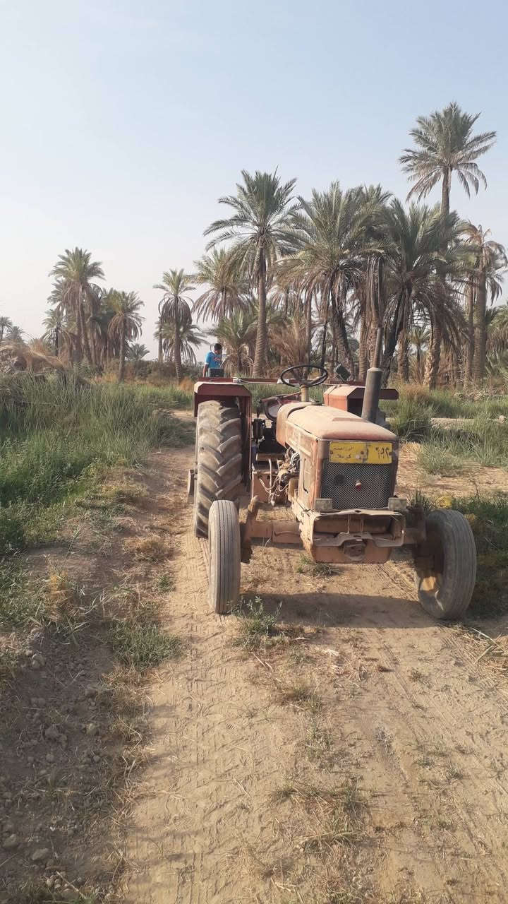 مكينة عنتر • محرك جديد • بابل الشوملي