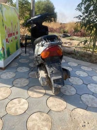 بيجي • ١٣٠