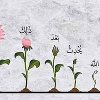 الحرية السلام • ٥٠م • طابقين ونص