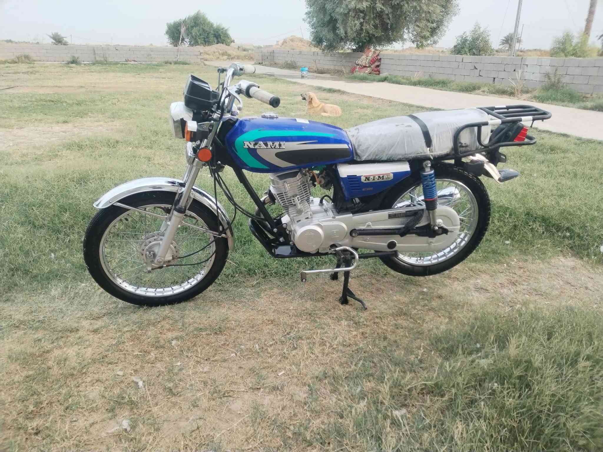سكنس • ٢٠٢٥ • كفاله