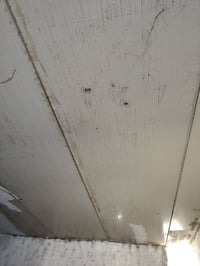 ديوانية • طقم كامل • سندويج وشلمان