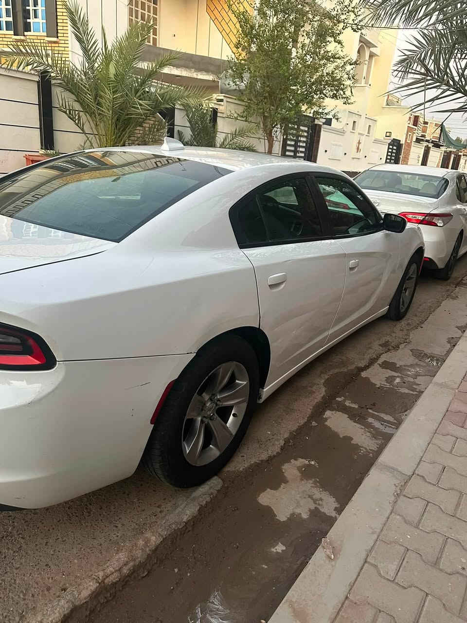 بيع مستعجل
جارجر 2015 

رقم بغداد مميز باسمي 

مواصفات Xst بلاص 

فتحه وشفتات بالستير وغيرها من المواصفات 
مكفوله من صبغ بيها فقط مكانات بسيطه بارد 

مكانها الفلوجه 
سعرها 165 $ 
بيع فقط لحد يخابرني يكلي مراوس بيع فقط 

لتواصل ***********
