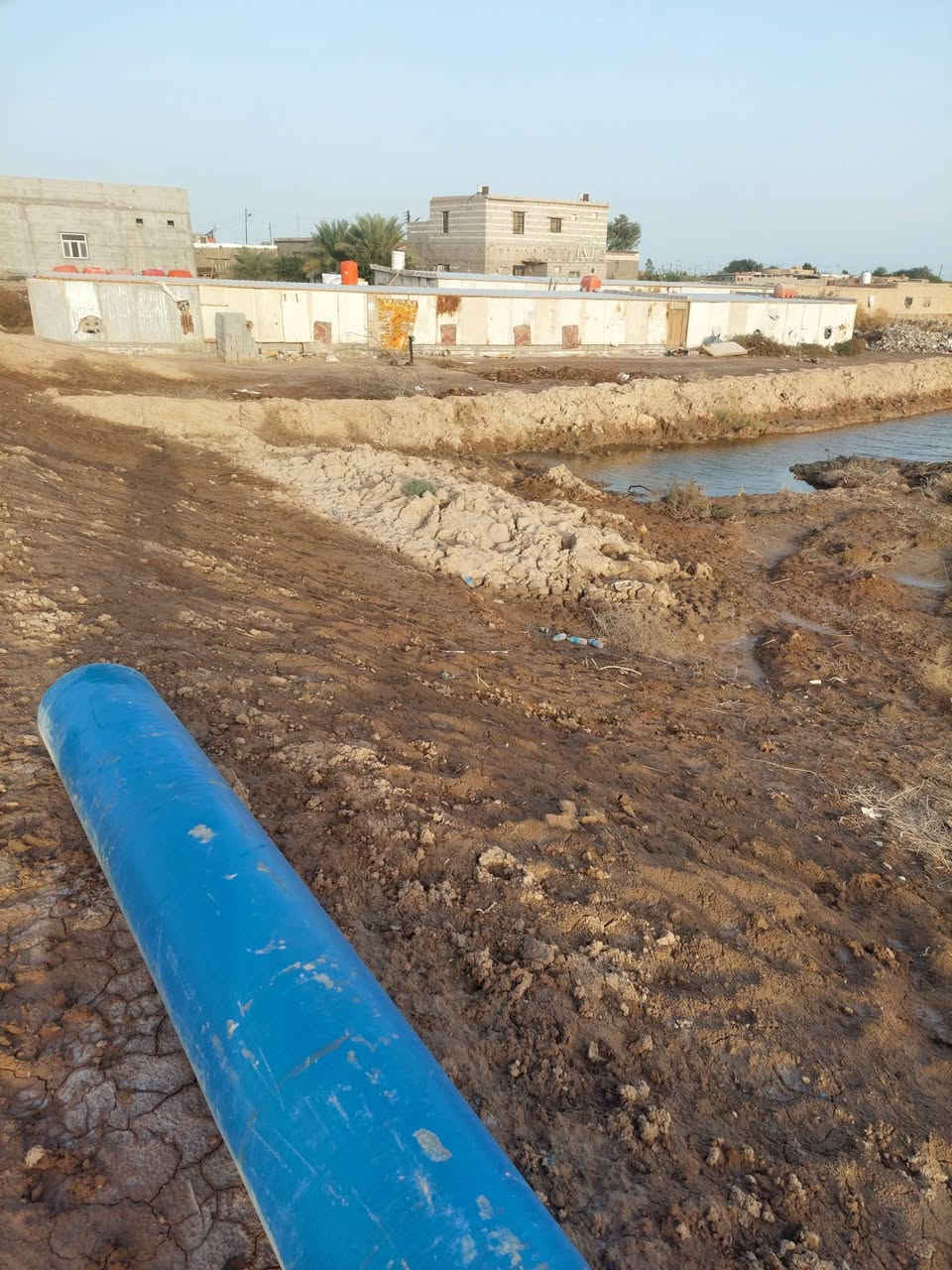 الفاو • ٥ دوانم ونص • طابو زراعي