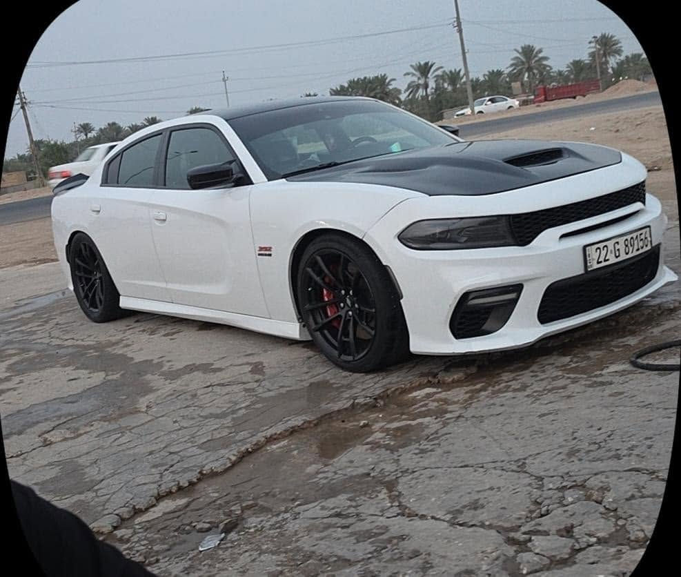 سكات باك • فول مواصفات • الديوانية