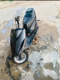 ماكس عدله • بوشه ٥٥ • شلع معدل