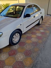سني • ٢٠١٠ • شمالية