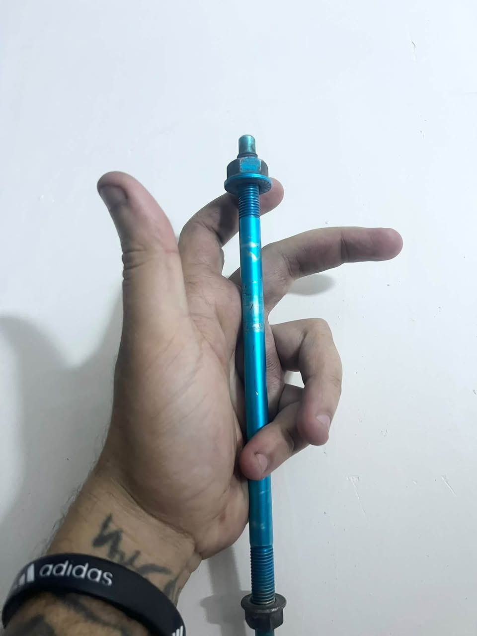 نواعم • غزاليه