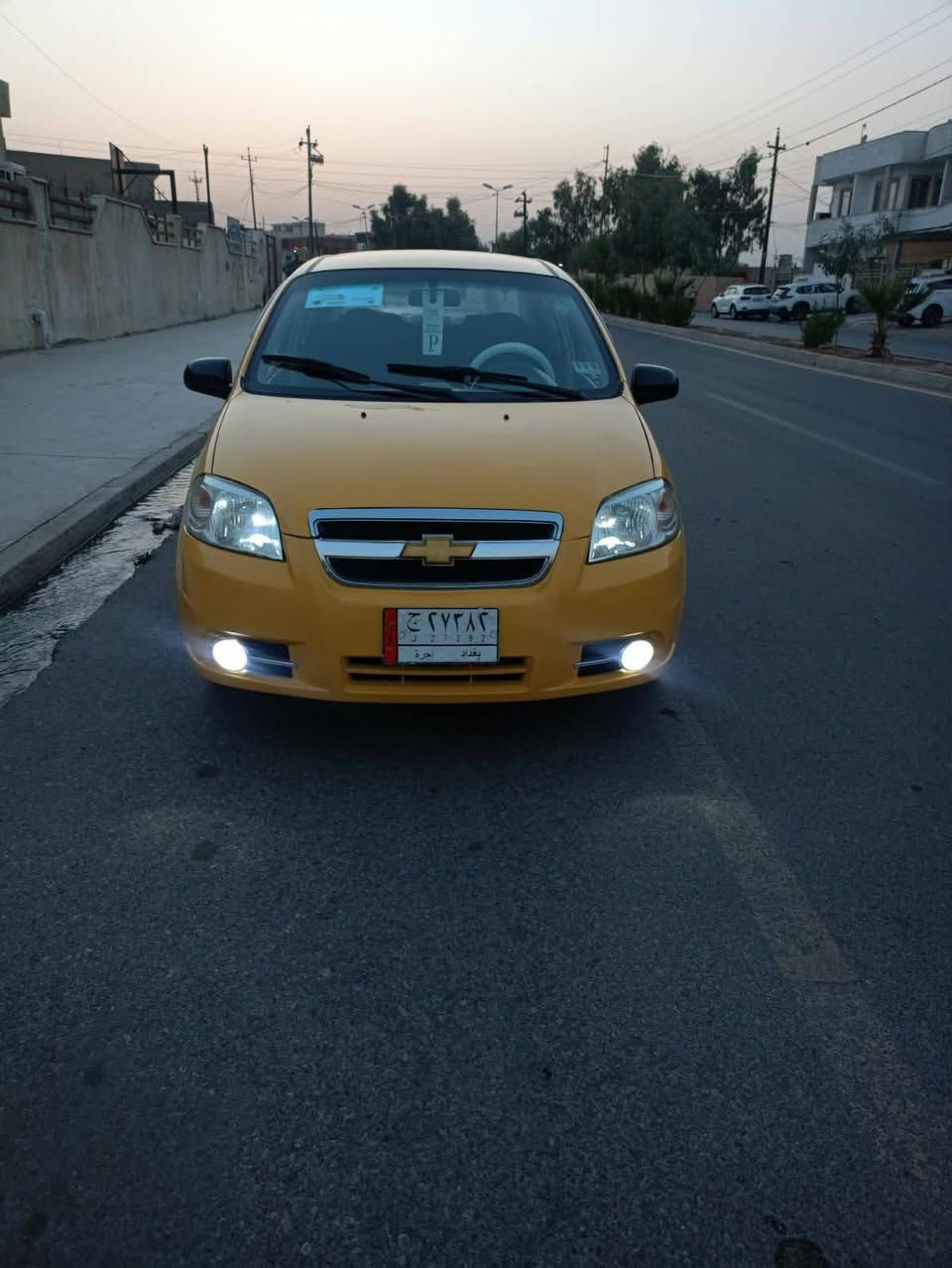 افيو • ٢٠١٠ • بدون ضرر