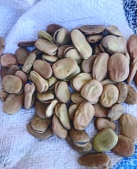 باجله • للبيع