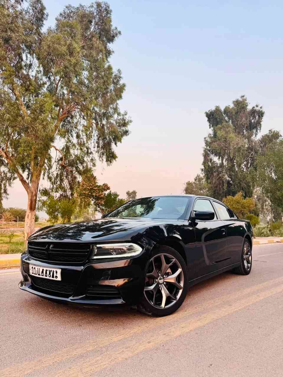بـــــيع او مـــراوس

جارجر SXT ￼

موديل 2023رقم بغداد 

شبه الكلين

دعامية فقط وبيها بارد بالجاملغ الأمامي 

بـــــدووون ارباك 

المواصفات

محرك 6 سلندر 36 لتر

ناقل حركة اوتوماتيك 8 سرعات

توووووويل

تشغيل بصمة

شاشة وسط متعددة

بلوتوث

تحكمات ستيرن

مثبت سرعة

نظام مانع انزلاق

نظام ثبات

حساسات خلفية

اضاءة LED

قفل مركزي

نظام ABS

السونار وصور الحادث مرفقة 

مكاني بابل مسيب

***********
