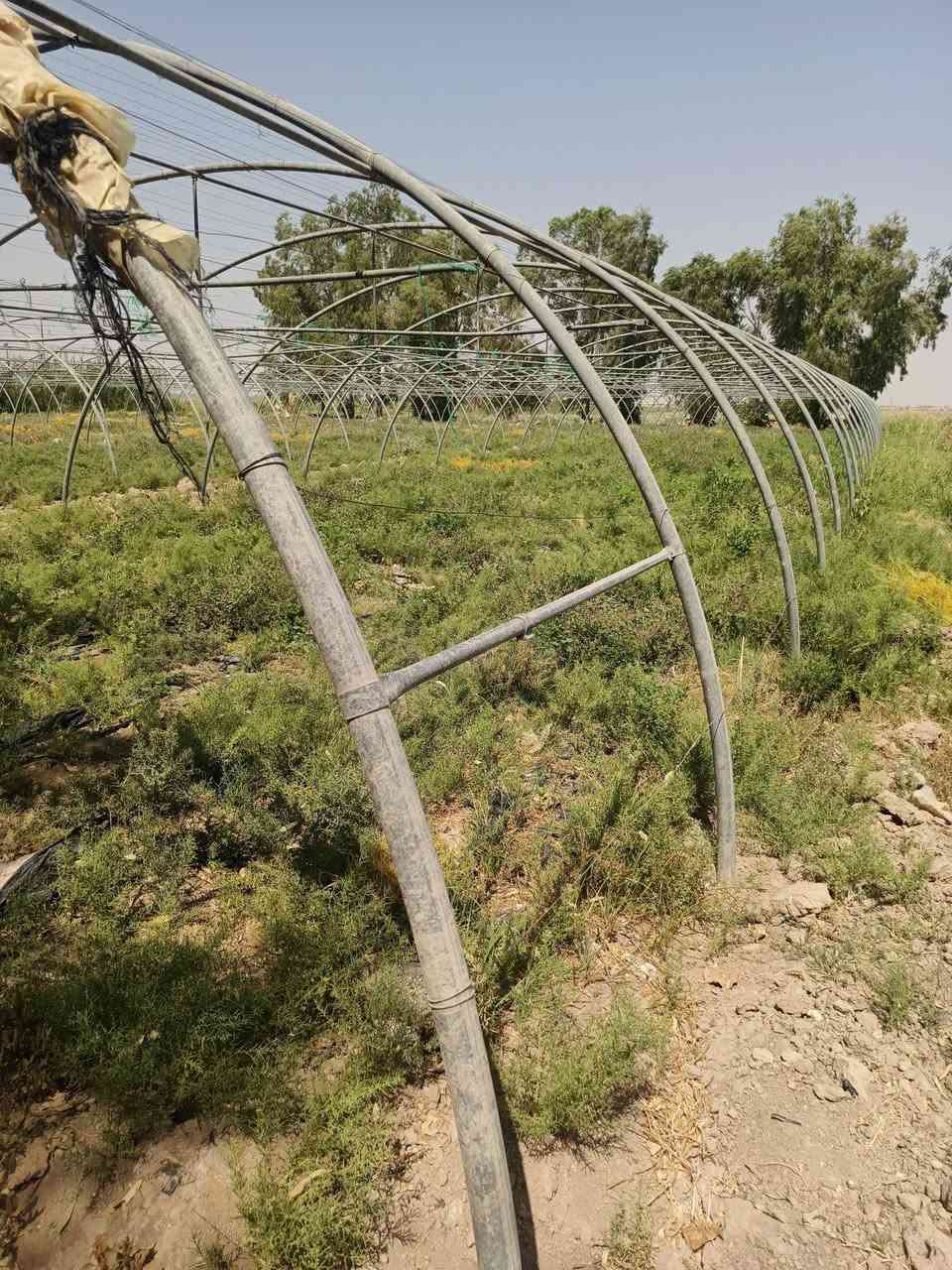 بيوت بلاستكيه لبيع الاردني قديم عدد 4 مع منضومة ماء سعر اتصال ع رقم***********
