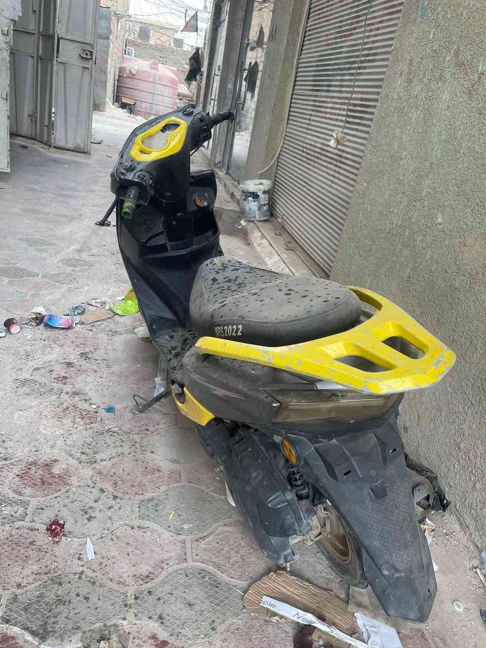 سكنس • سلف • لايتات