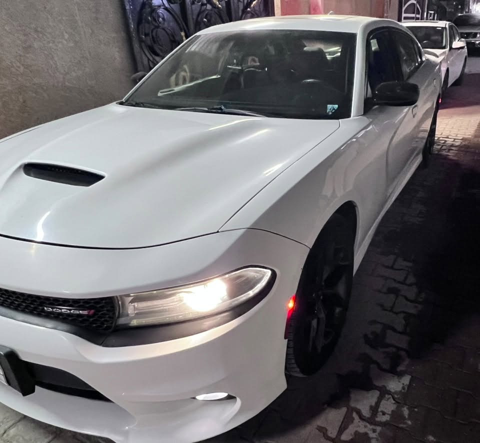 السلام عليكم
جارجر موديل 2019 GT Plus رقم بغداد فول موصفات
حادث جاملغ و وبنيد 

مواصفات 

شاشة كبيرة كشنات تدفئة تبريد حساسات خلفية فتحة كشنات كهرباء  كشنات الخلفية تدفئة تحكم استيرن فول رادار امامي نقطة عمياء تدفئة ستيرن تشغيل عن بعد شفتات بالستيرن لايتات زينون ويل 20
السيارة ماشية 55 الف
مكان السيارة بغداد 
السعر خاص

للتواصل ***********

